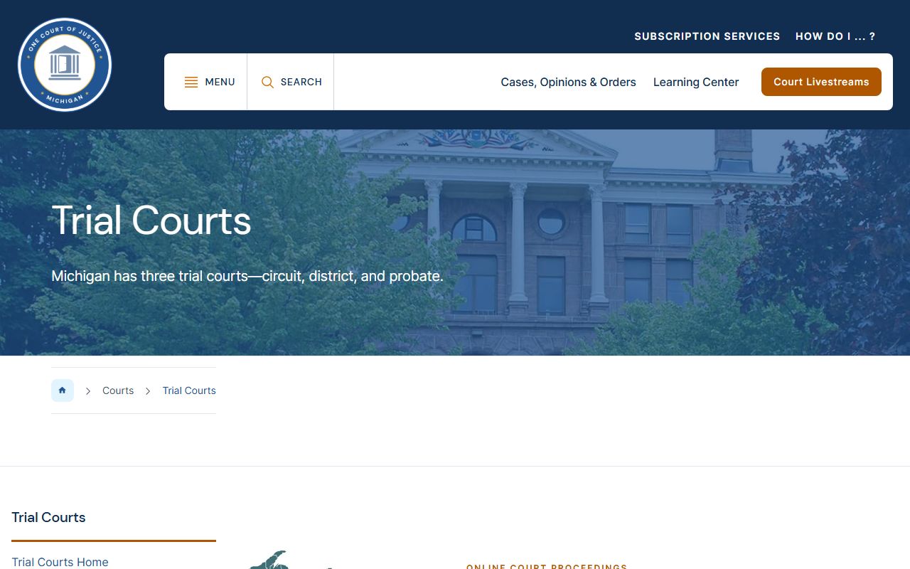 Iron County court dockets Michigan trial courts overview