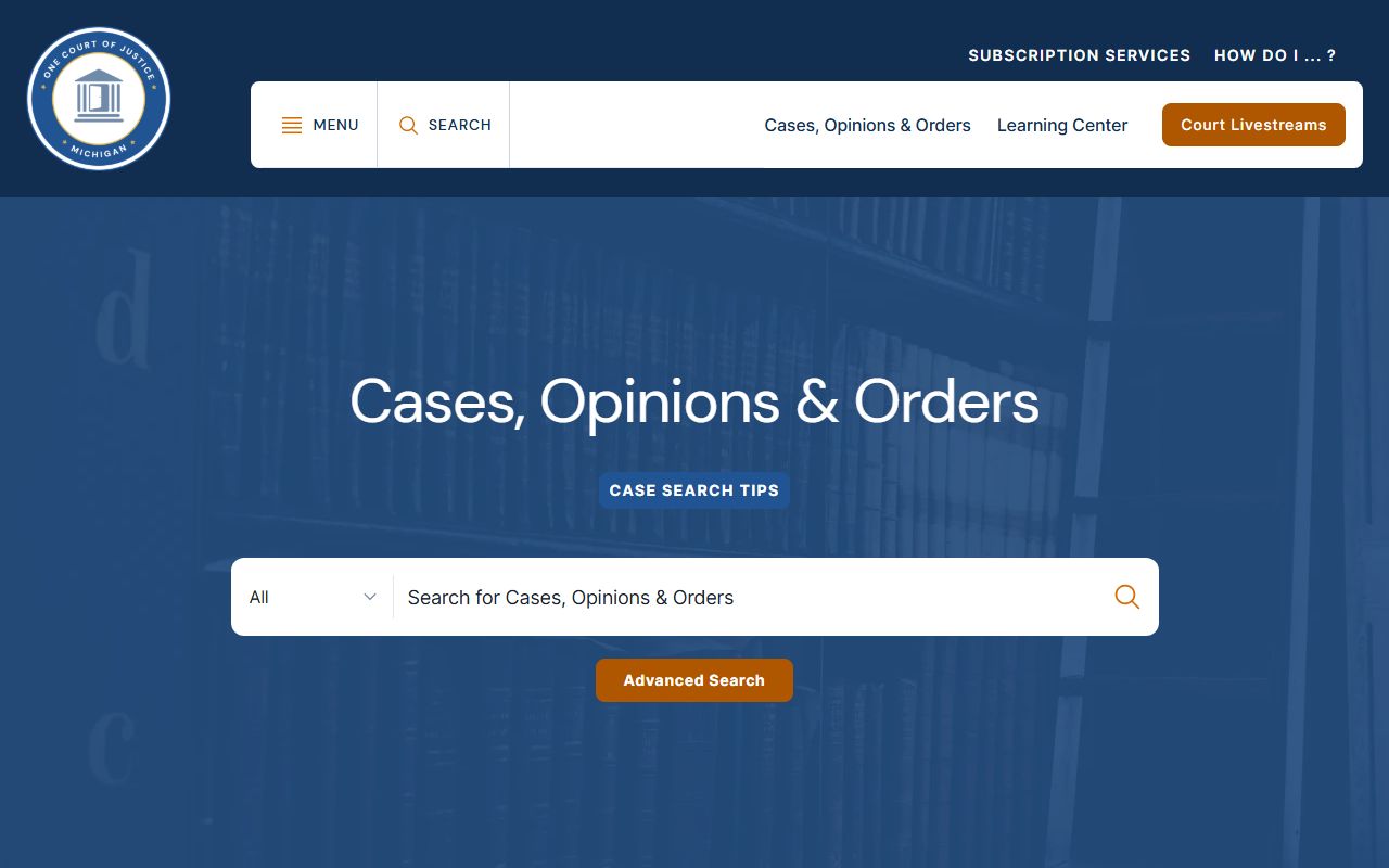 Iron County court records access through the Michigan Courts case-search hub